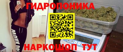 прущий лед Пугачёв